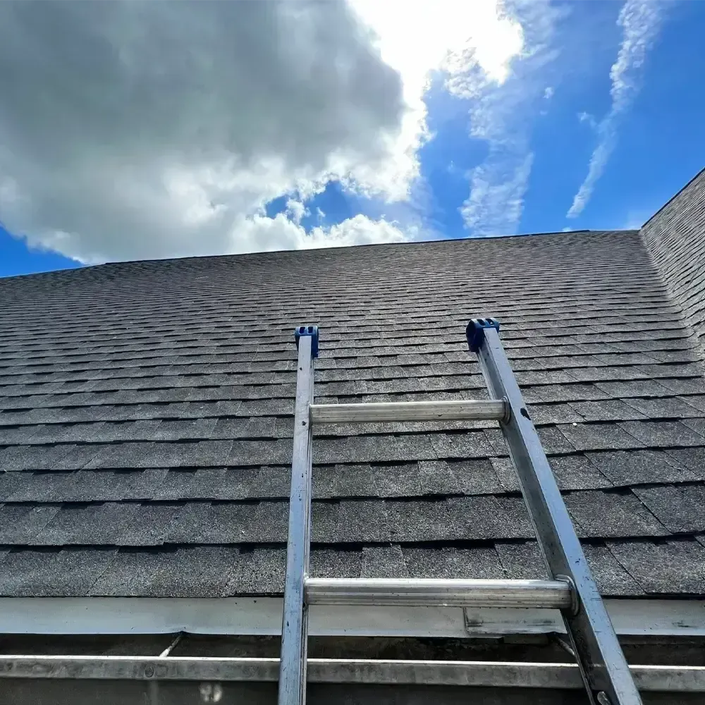 A ladder is sitting on top of a roof.