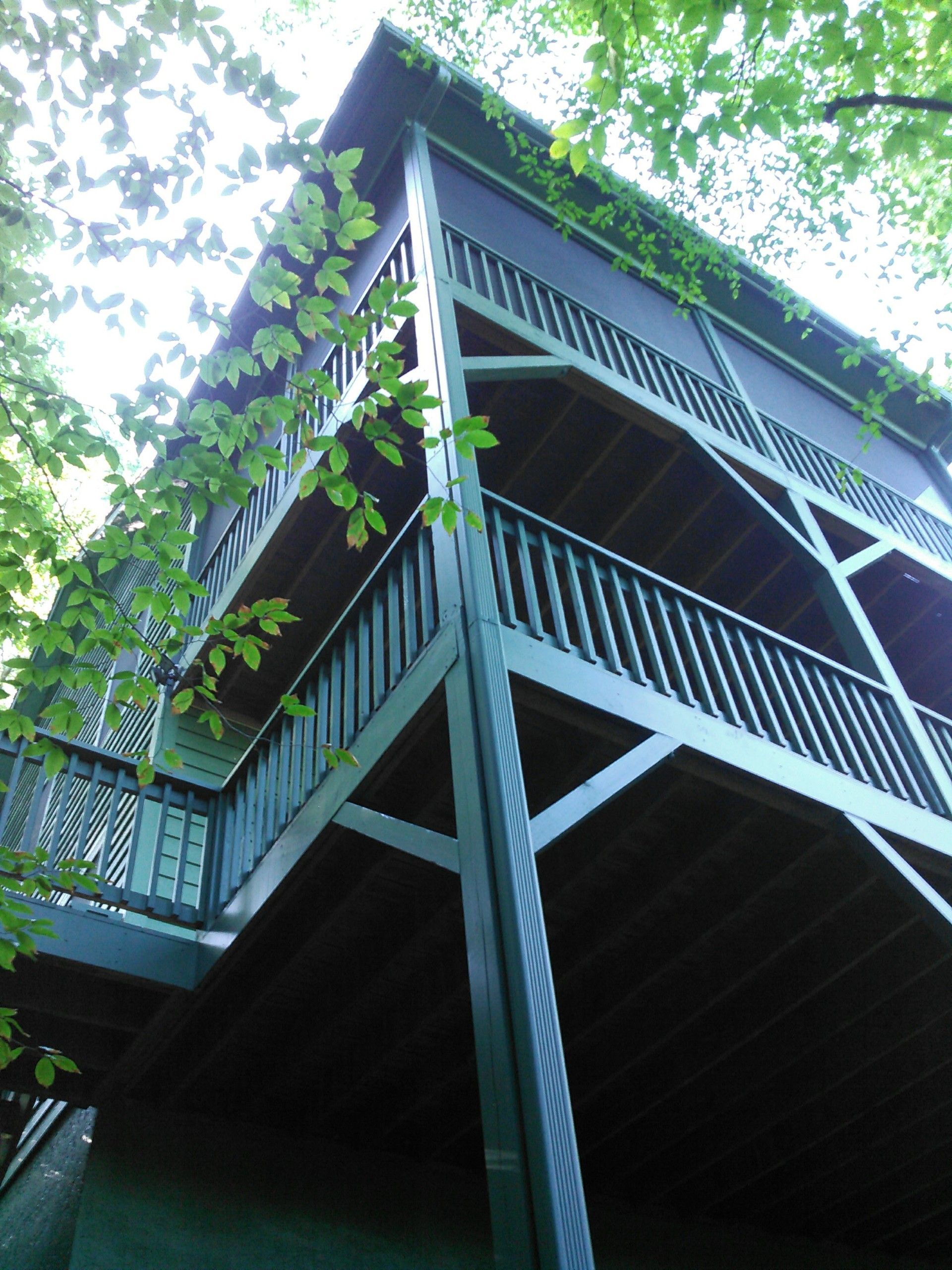 Tall green wooden cabin with wraparound balconies viewed from below through leafy trees