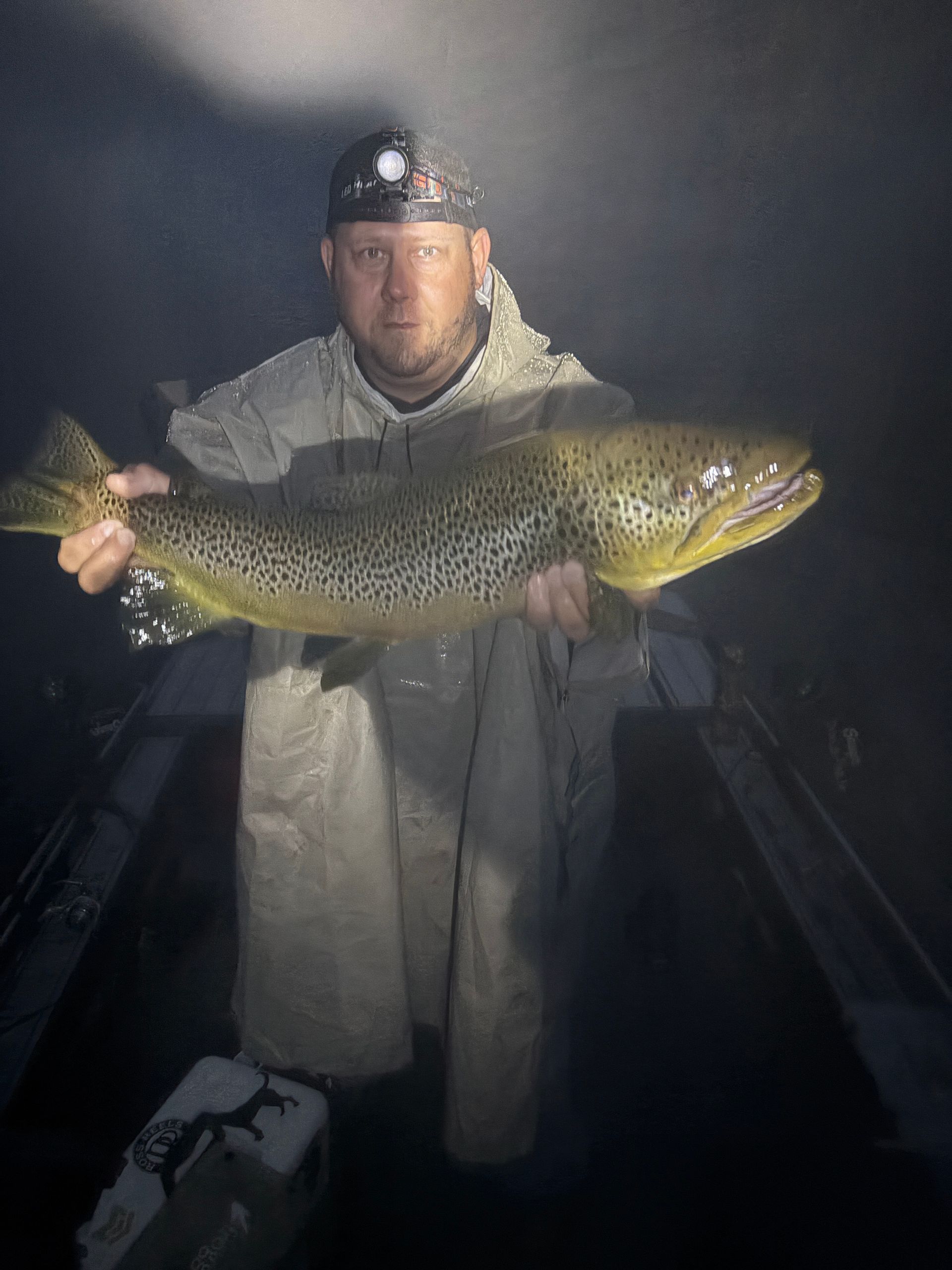 Angler holding a large brown speckled fish on a dark boat at night