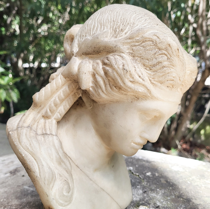 Antiquaire, objet d'art, statue, buste, portrait, marbre, art, antiquité, sculpteur, collection