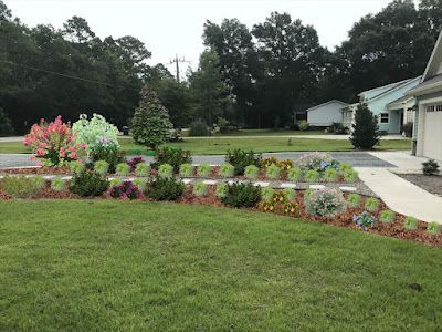 Landscaped front yard with colorful flowerbeds, grass, and a concrete path.