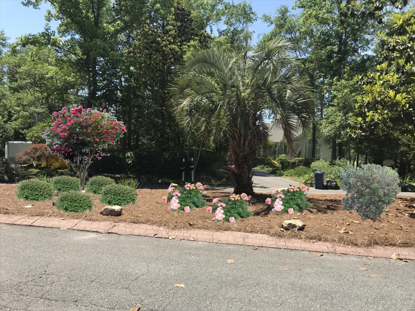 Landscaped area with palm tree, flowering plants, and mulch bed on roadside.