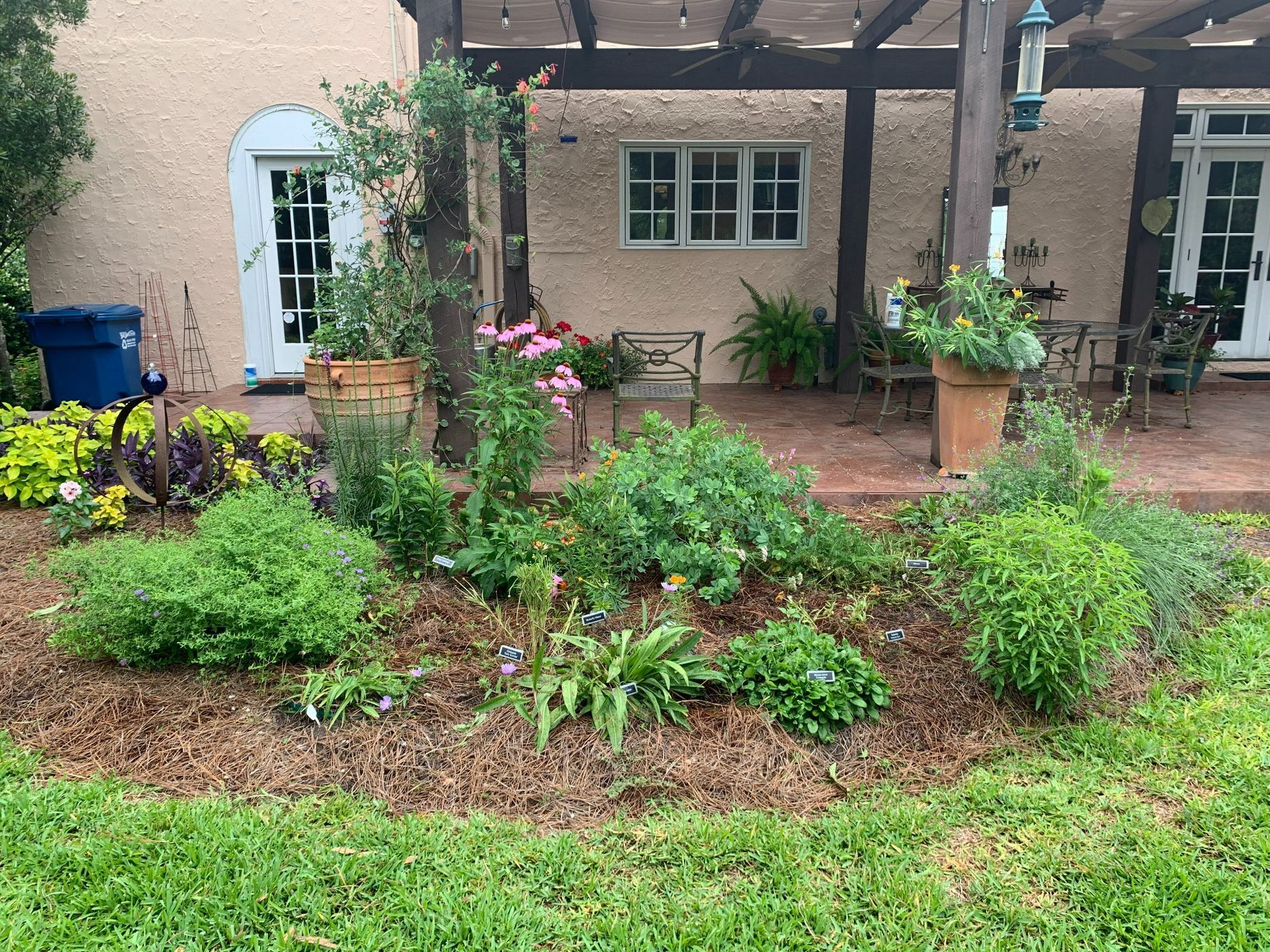 A garden bed filled with herbs and flowers in front of a patio area.