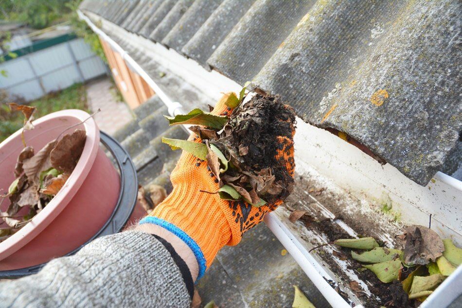 Gutter Cleaning — Exterior Pressure Cleaning In Bega Valley, NSW