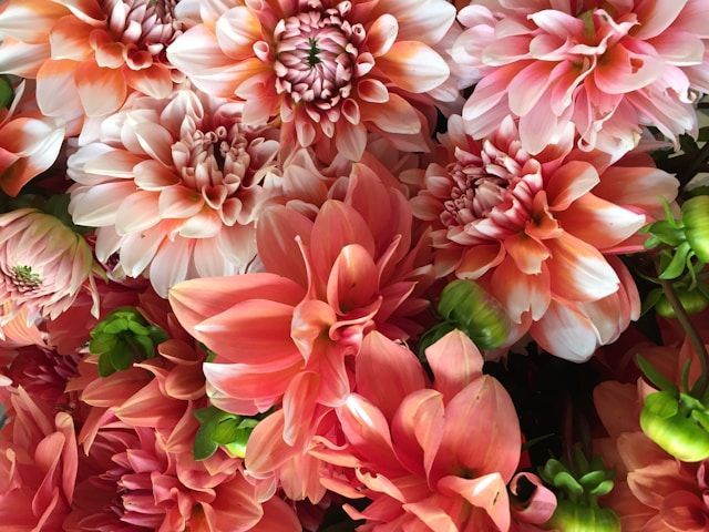 Soft pink and peach floral arrangement in Laredo, TX