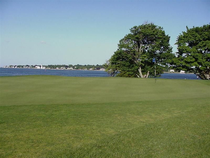 Grassy field by the water with trees and a distant shoreline under a clear blue sky