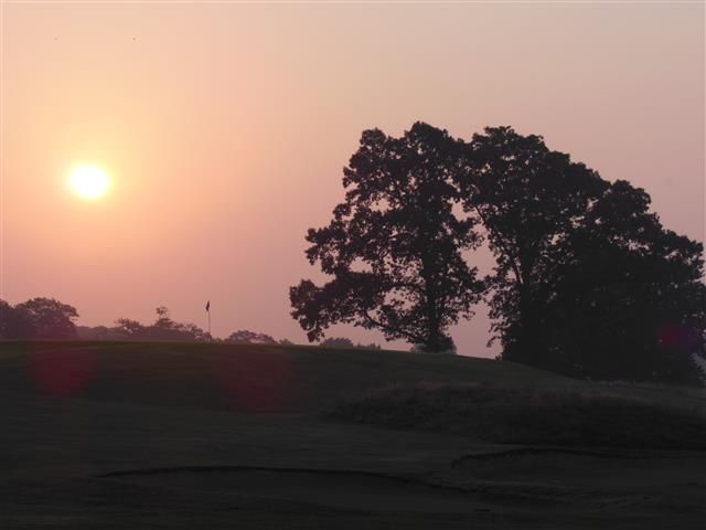 Sunset over a dark grassy hill with a lone tree silhouetted against a pink-orange sky