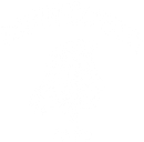 Blank white image