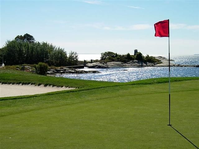Golf green beside a water hazard with a red flag, sand bunker, and trees under a clear sky