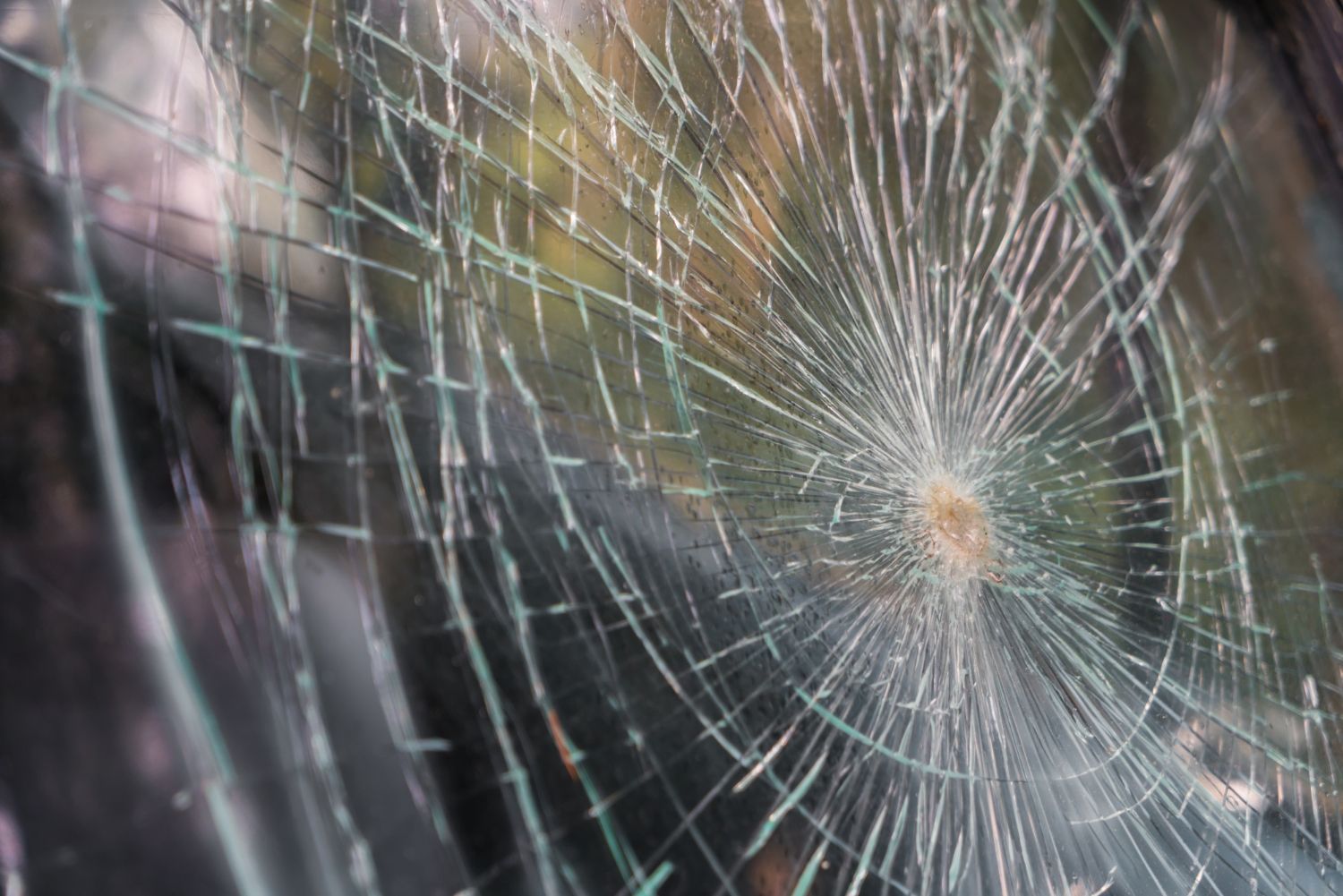 Close-up of a spiderweb with a circular pattern and blurred brown-green background