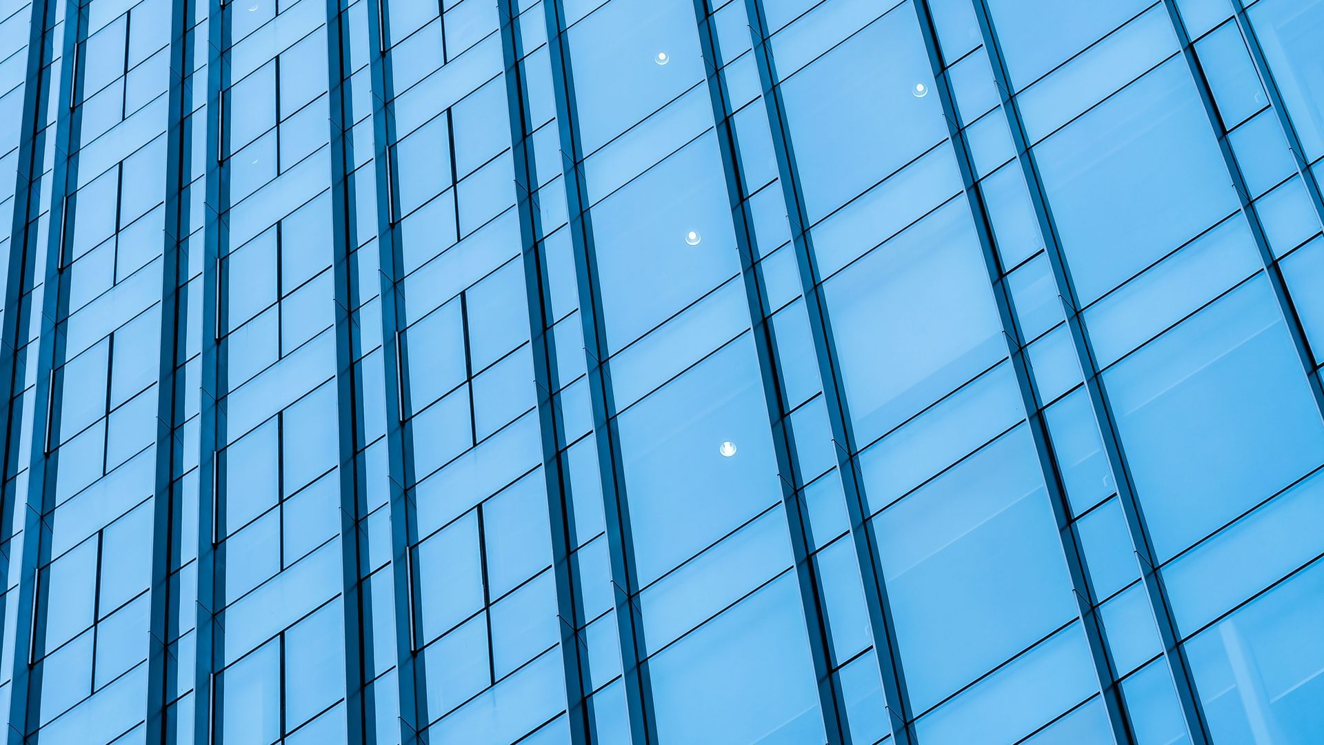 What makes a curtain wall? Explore the key components that form a curtain wall assembly 
