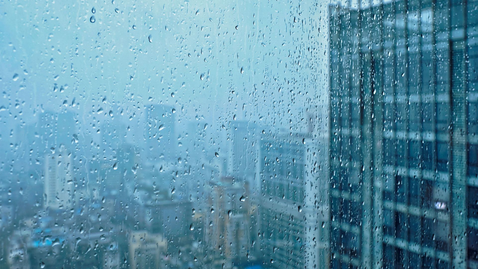 Are you looking for a weather-resistant glazing system? Explore key specification considerations, 