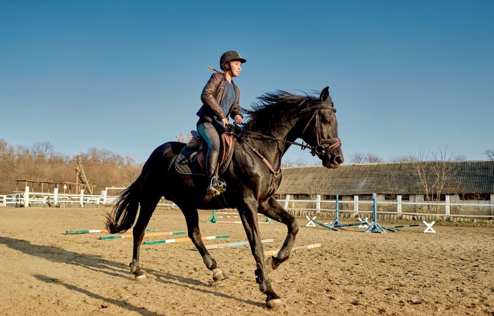 A Man Is Riding A Black Horse In A Dirt Field — Farleigh Saddle Club In Farleigh, QLD