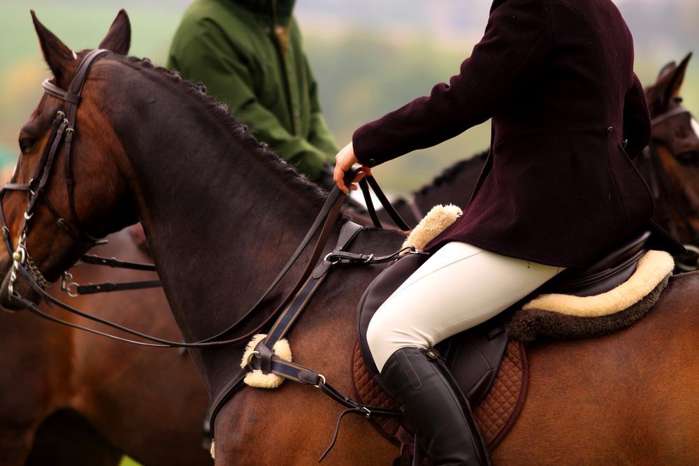 A Man And A Woman Are Riding Horses In A Field — Farleigh Saddle Club In Farleigh, QLD
