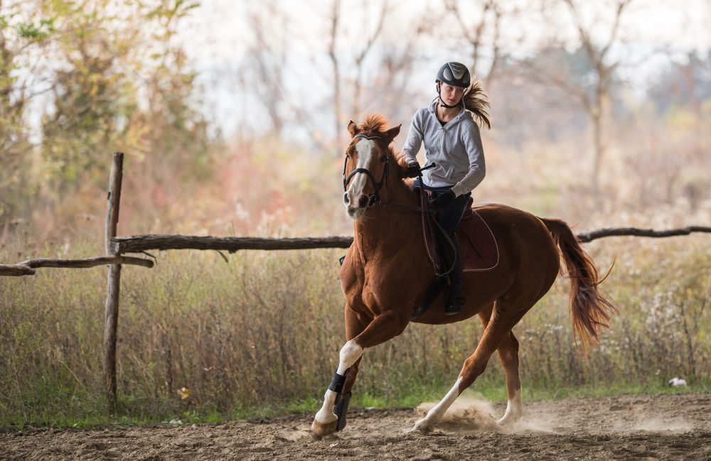 A Woman Is Riding A Brown Horse In A Field — Farleigh Saddle Club In Farleigh, QLD