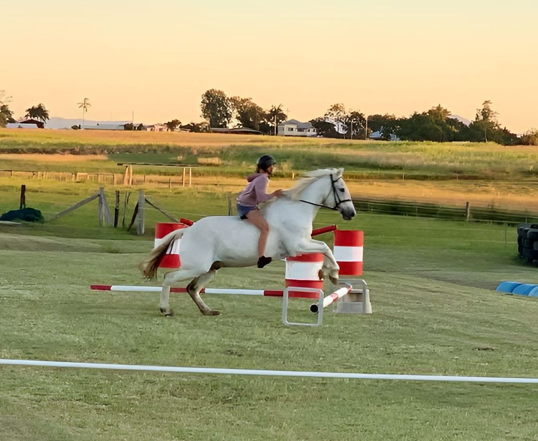 A Person Is Riding A White Horse Over A Red And White Barrel — Farleigh Saddle Club In Farleigh, QLD