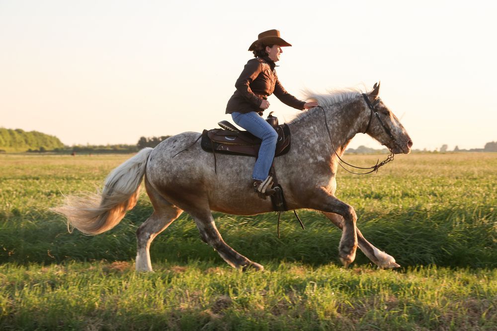 A Woman In A Cowboy Hat Is Riding A Horse In A Grassy Field — Farleigh Saddle Club In Farleigh, QLD