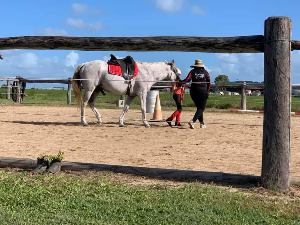 A Woman Is Walking A Horse In A Fenced In Area — Farleigh Saddle Club In Farleigh, QLD