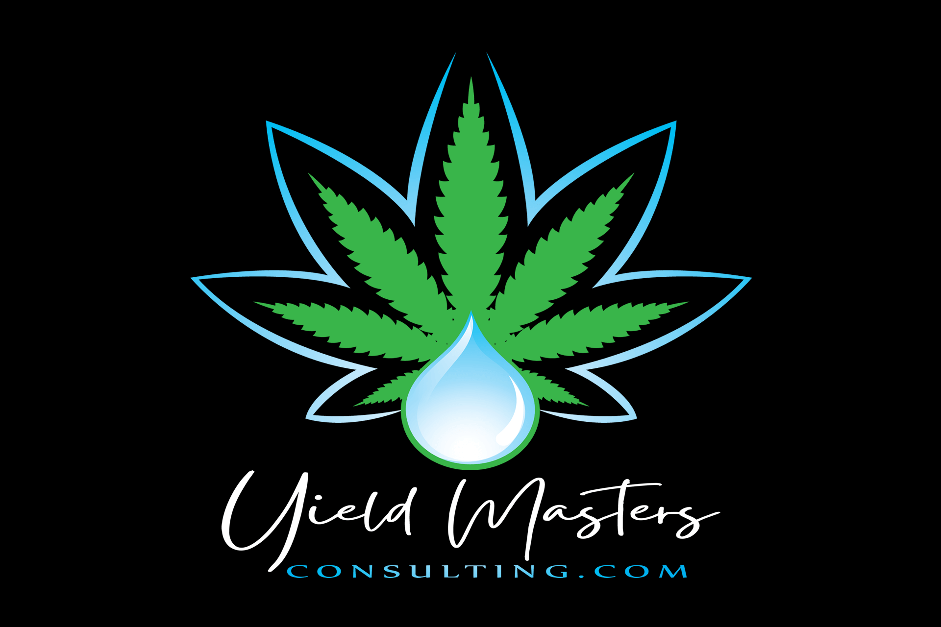 The logo for yield masters consulting is on a black background.