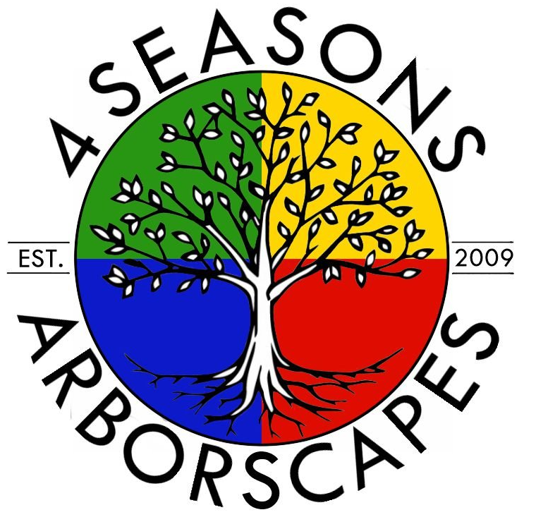 FinalLogo_simple_nobackground.