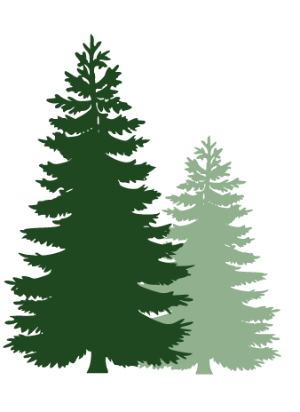 What Happens to Trees in Spring | 4 Seasons Arborscapes LLC