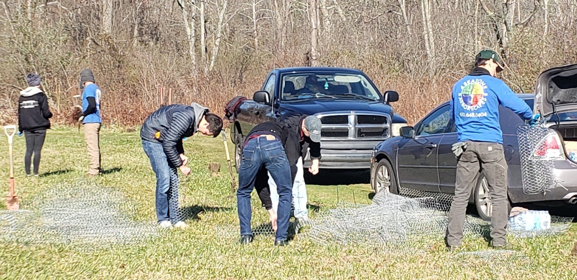 tree planting in action
