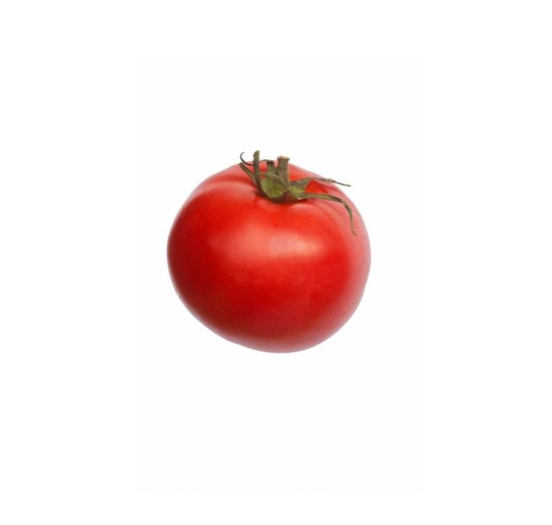 A single red tomato with a green stem on a white background.
