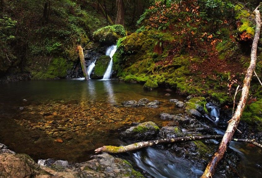 A small waterfall is surrounded by trees and rocks in the middle of a forest.