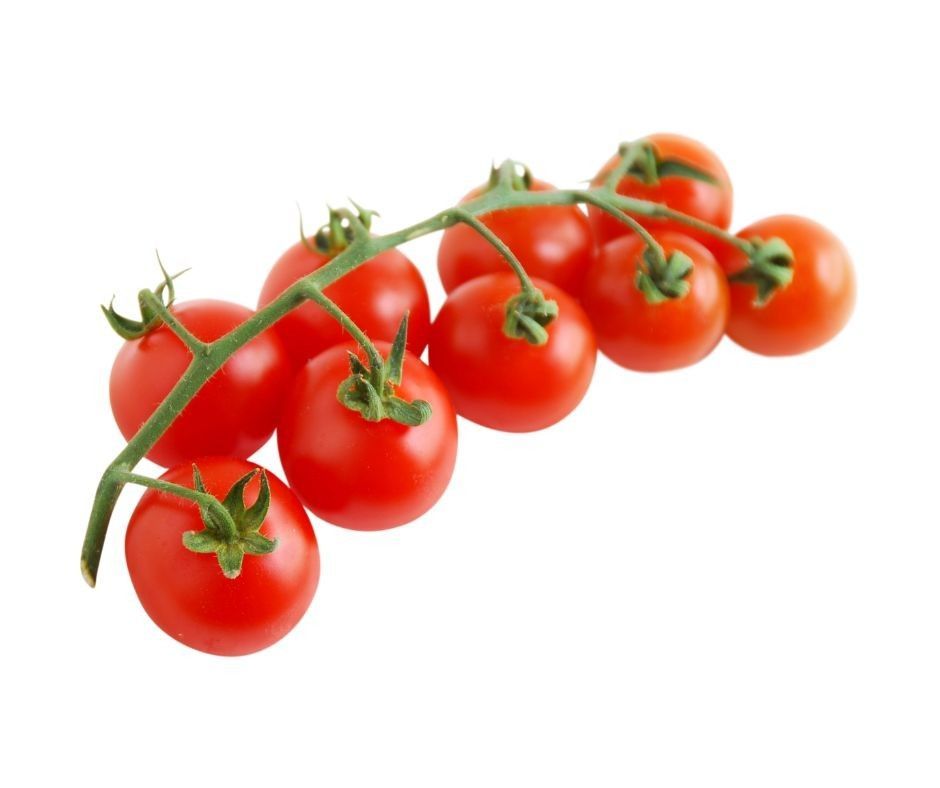 A bunch of cherry tomatoes on a vine on a white background