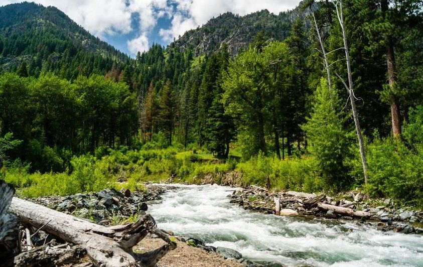 A river in the mountains with a mountain in the background