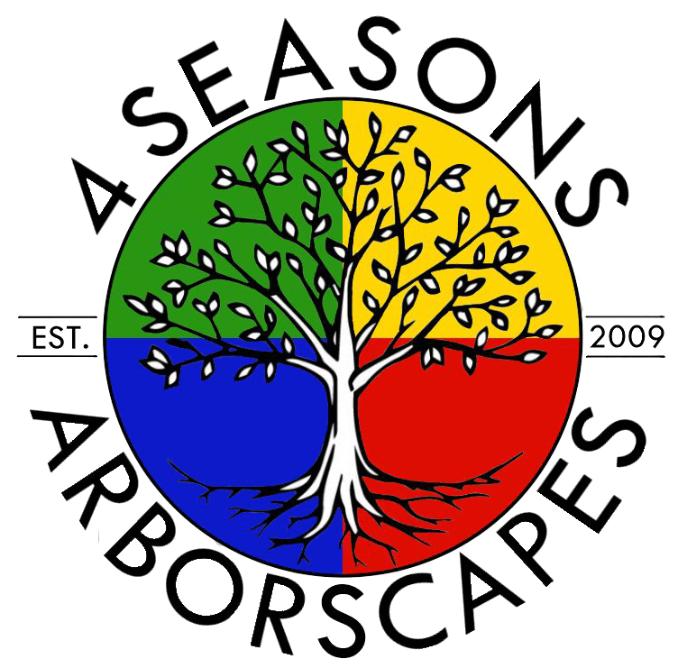 a tree with four different colors of leaves in a circle