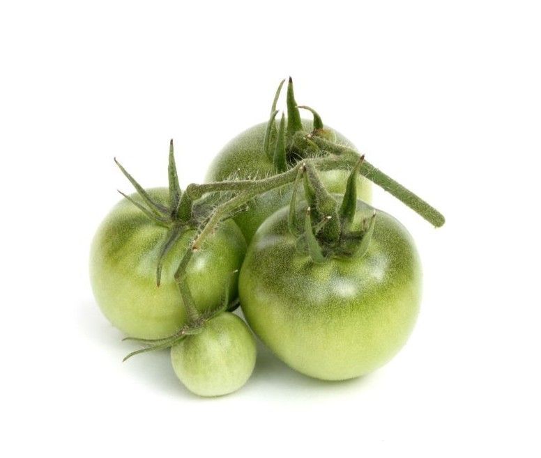 A bunch of green tomatoes on a vine on a white background