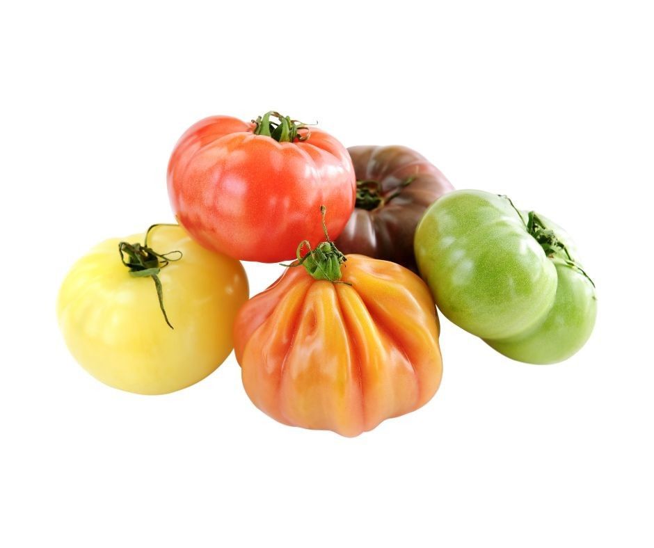 A bunch of different colored tomatoes on a white background