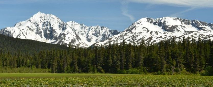 Mountains in the background and trees in the foreground.