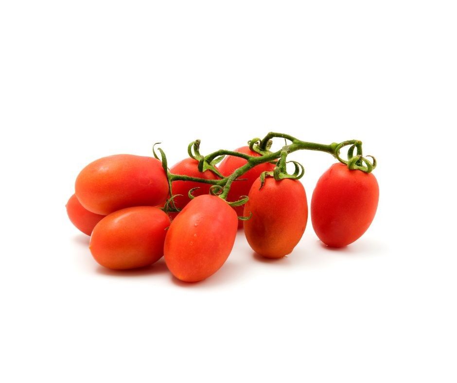 A bunch of tomatoes on a vine on a white background.