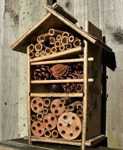 house to attract bees
