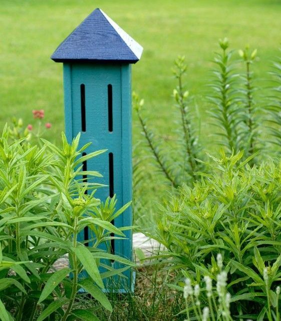 attractive butterfly boxes