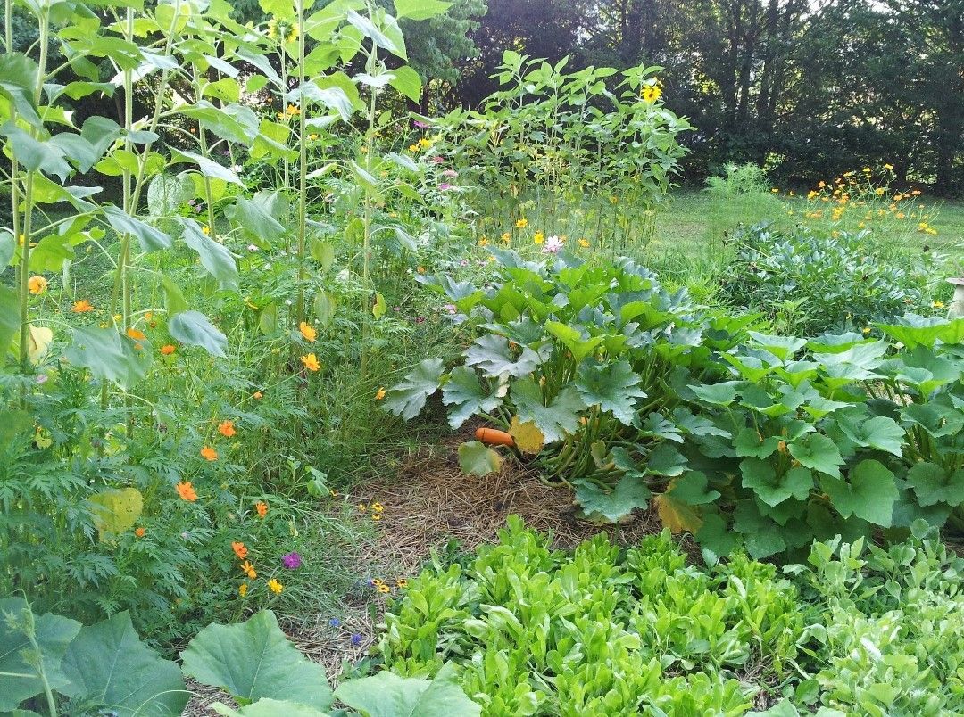 Classic, in-ground garden in ground garden