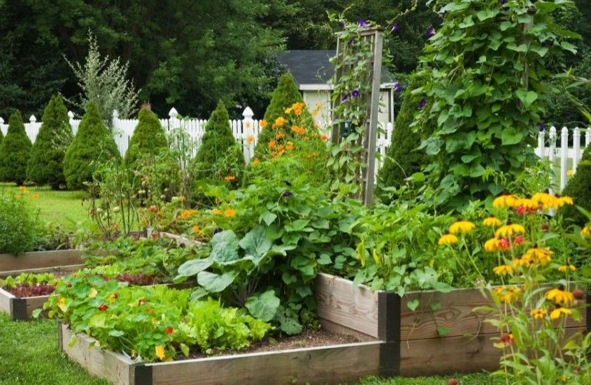raised bed on stands