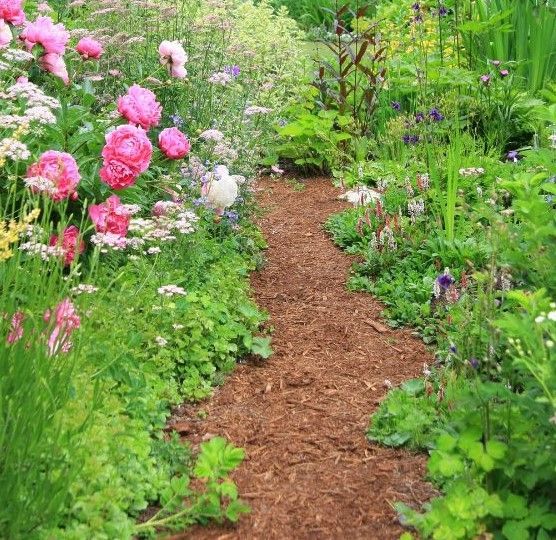 A path in a garden