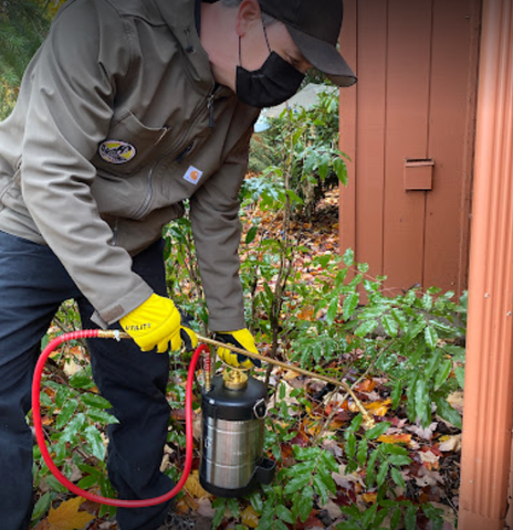 Picture of spraying outside.