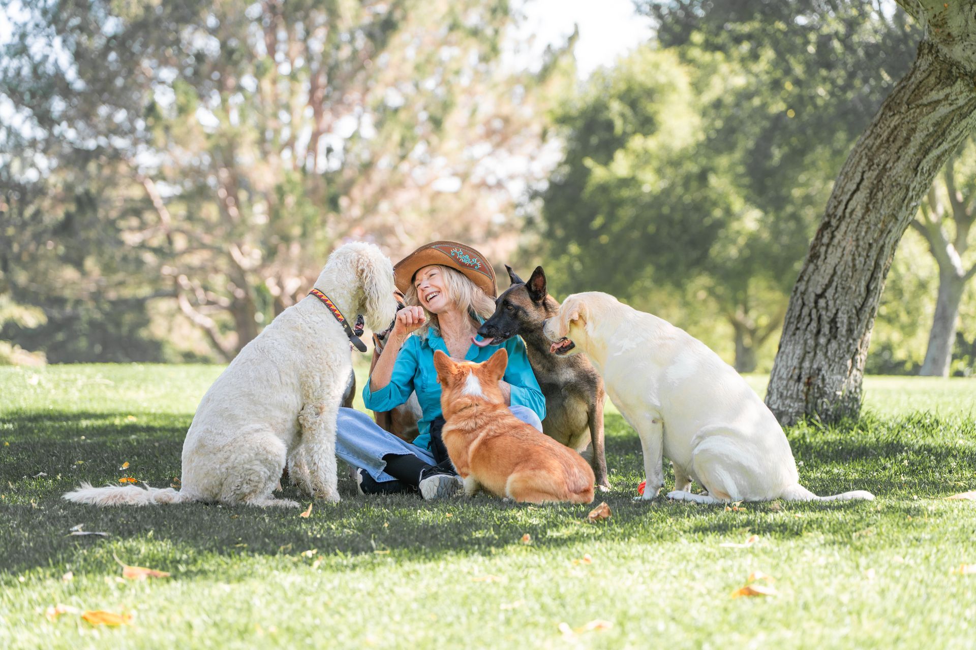 Person sitting on grass with three dogs in a sunny park, touching their faces together