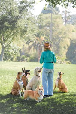 Anita's Loving Pet Services stands with five dogs on a grassy park lawn under trees.