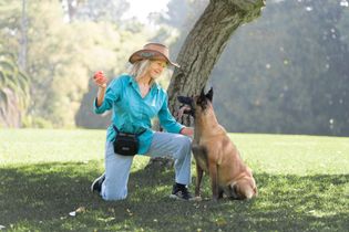 Woman kneels on grass with a dog beside a tree in a sunny park, holding a treat and a leash.