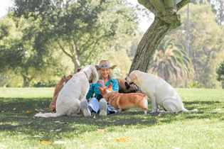 Person in blue sitting on grass with two white dogs and a brown dog in a sunlit park under trees
