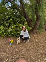 Person crouching beside a small dog under a large tree, with colorful flowers in a blue vase nearby.