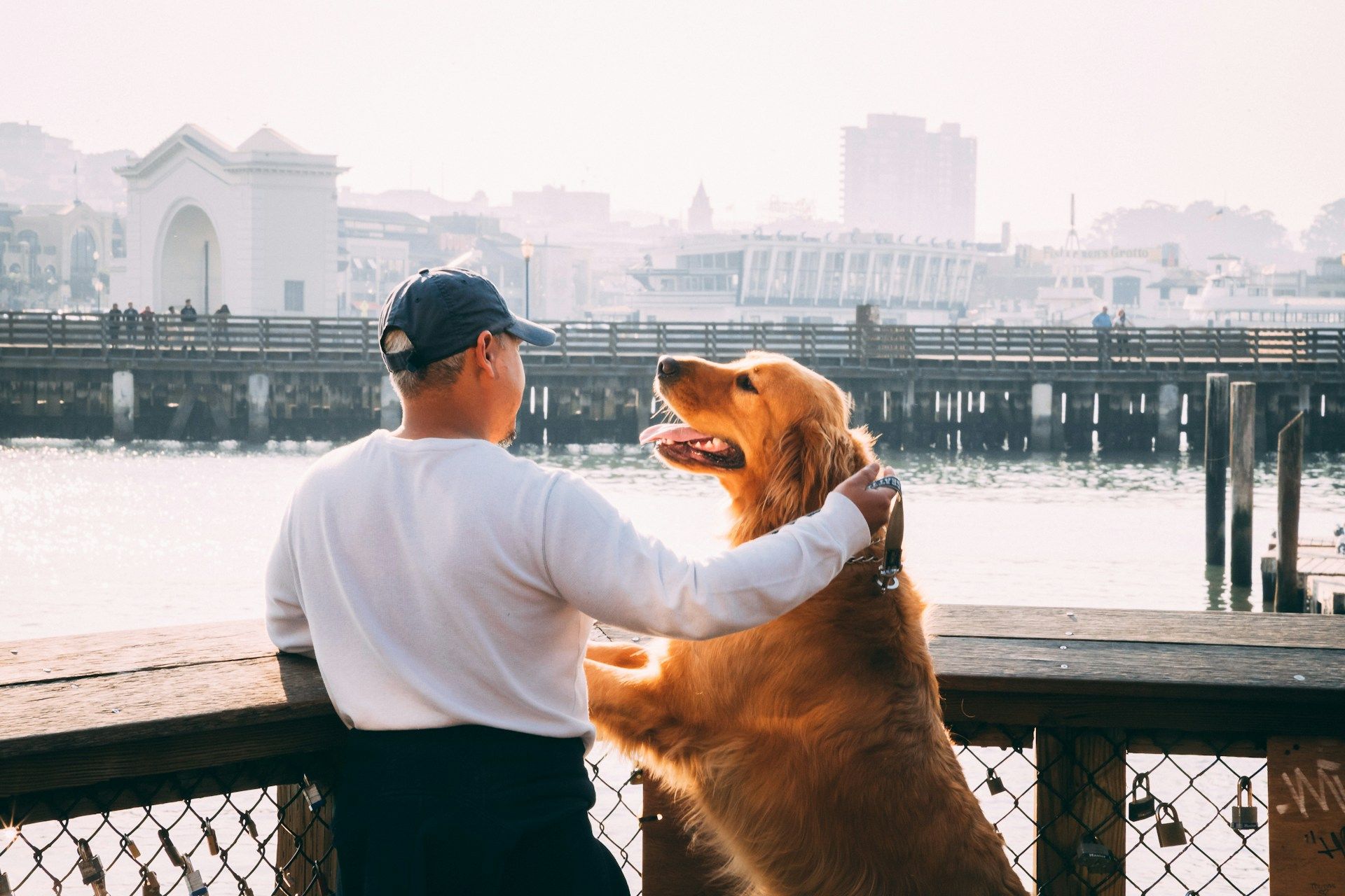 Man in a white shirt embracing a golden dog by a waterfront railing with a city skyline in the distance