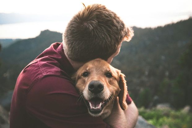 Person hugging a happy dog outdoors with forested mountains in the background