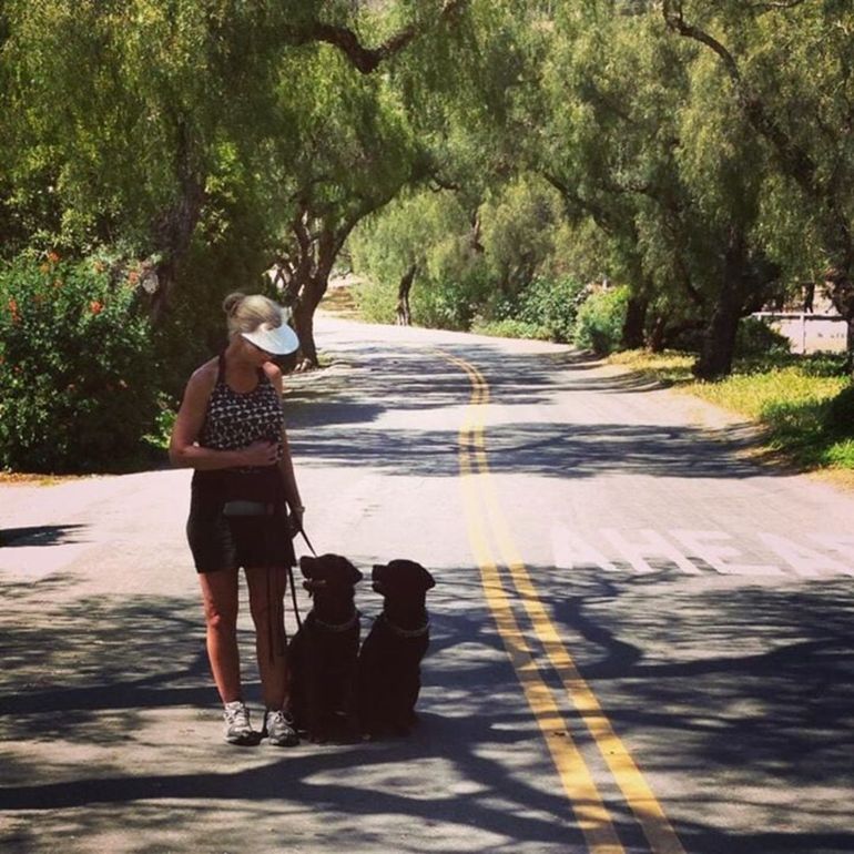 Person walking two small dogs on a sunlit tree-lined road