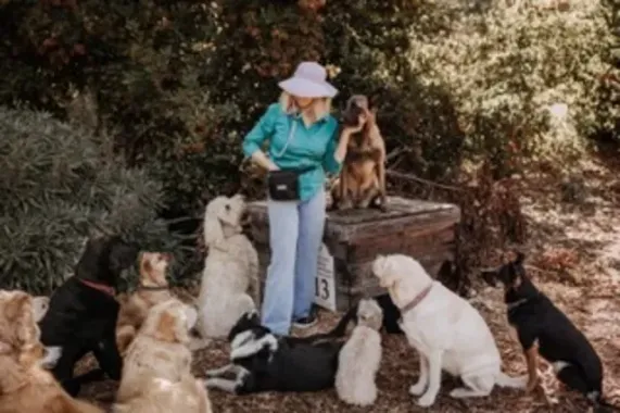 Person in teal jacket feeding a cluster of dogs outdoors in a wooded area